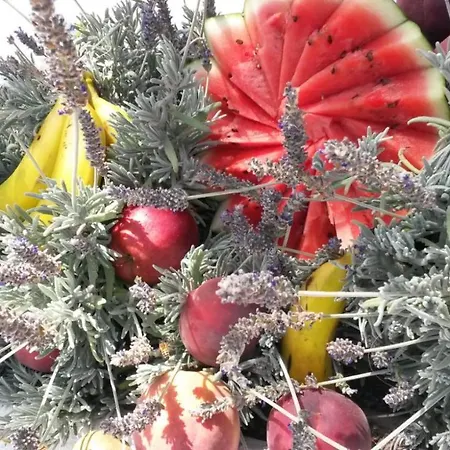 Lägenhetshotell Lavanda