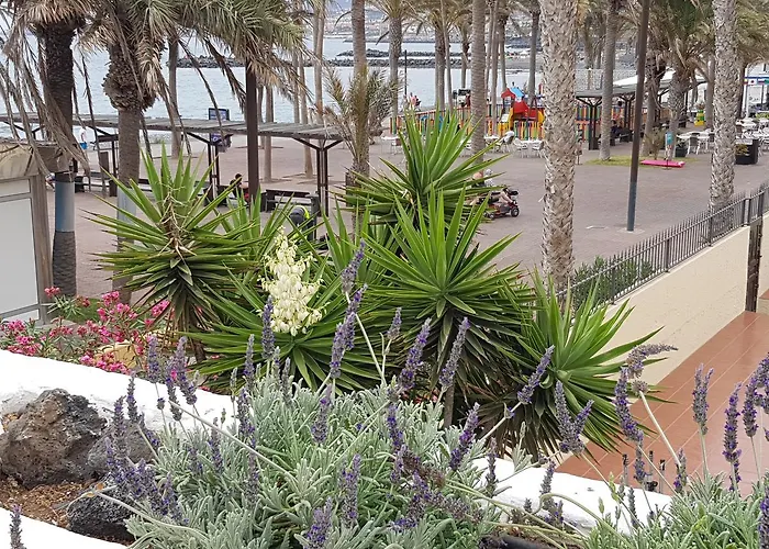Lavanda Apartahotel 3*
