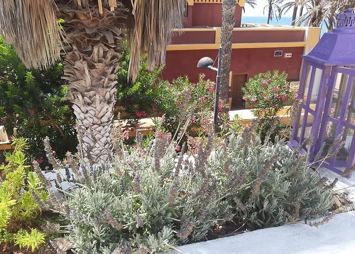 Lavanda