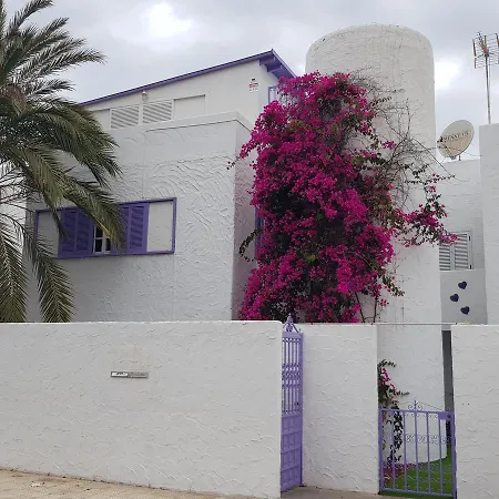 Lavanda Πλάγια ντε λας Αμέρικας