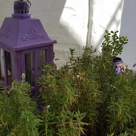 Апарт-отель Lavanda 3*