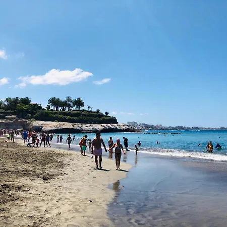 Lavanda Playa de las Américas