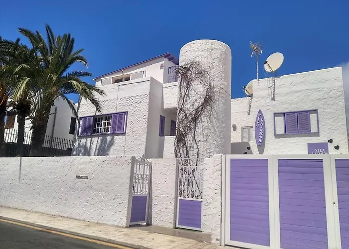 Lavanda Playa de las Américas